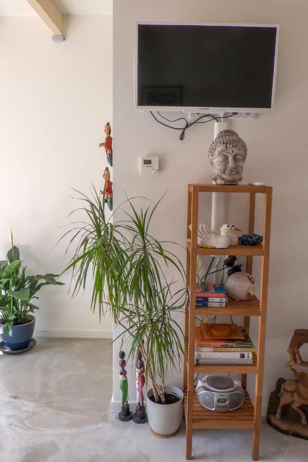 Studio South Beach With Garden And Free Parking Zandvoort Kültér fotó