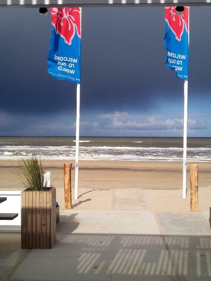 Studio South Beach With Garden And Free Parking Zandvoort Kültér fotó